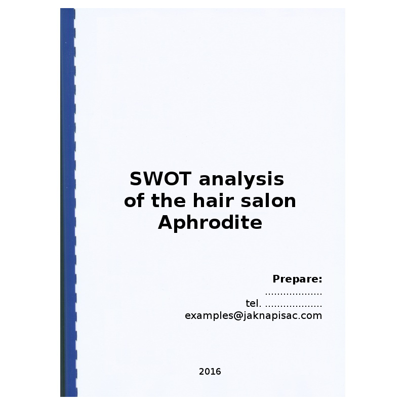 SWOT analysis of the hair salon Aphrodite - example