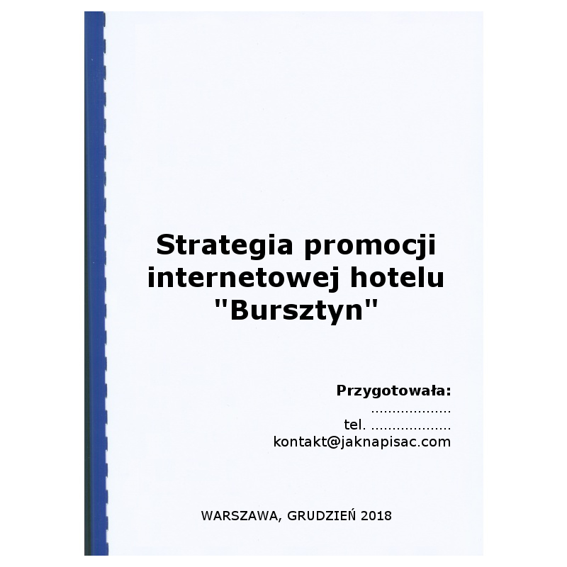 Strategia promocji internetowej hotelu "Bursztyn"