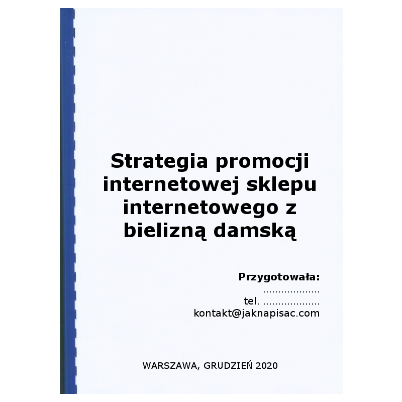 Strategia promocji internetowej sklepu internetowego z bielizną damską